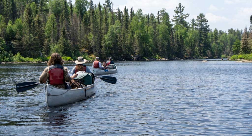 Two canoes are paddled on calm water away from the camera, toward a tree-lined shore. 